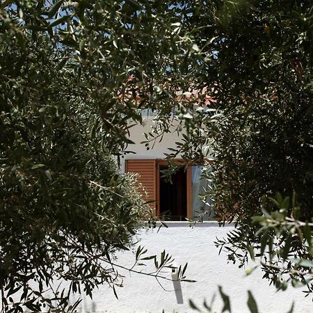 Villa Aelia Kámpos Eksteriør billede